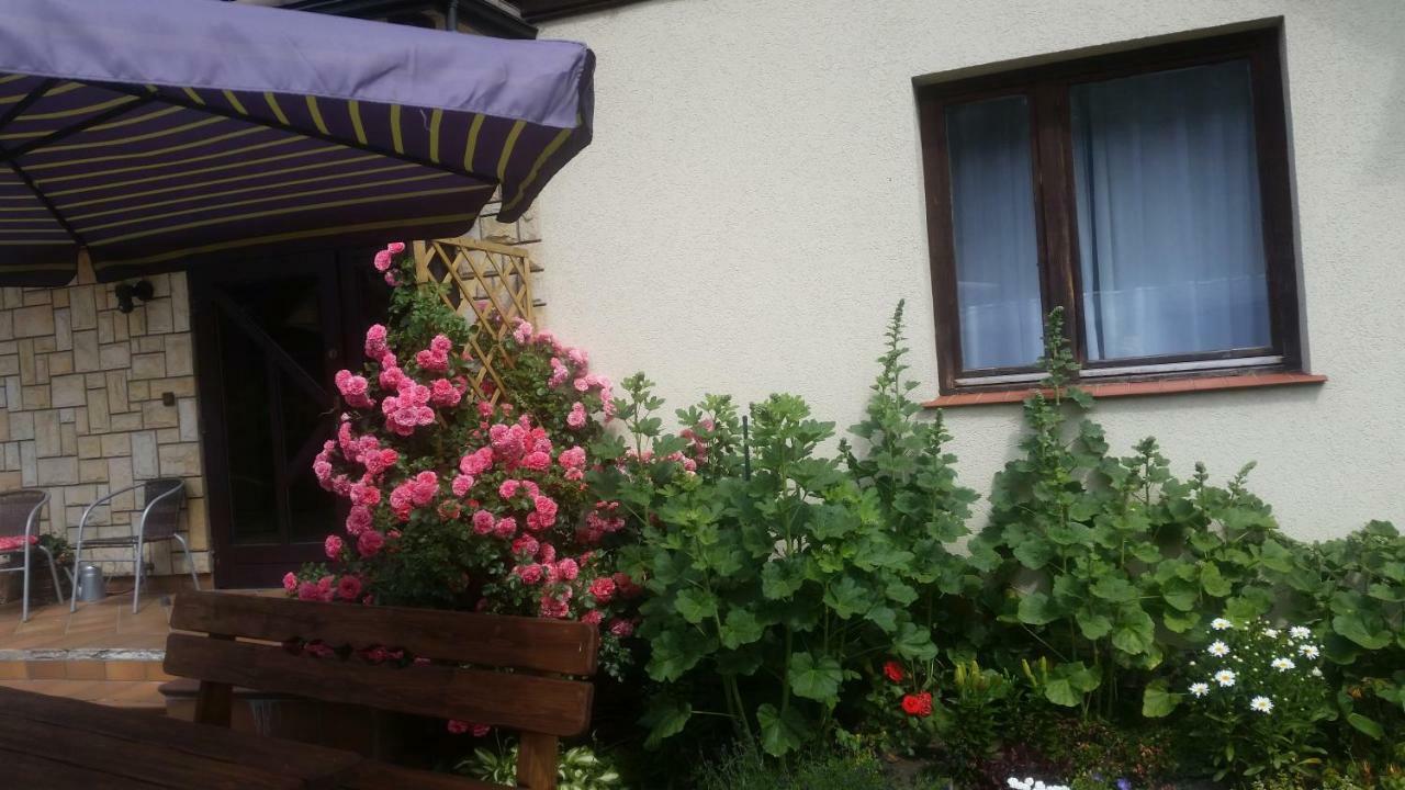 שצ'צ'ירק Apartament Jodlowy מראה חיצוני תמונה